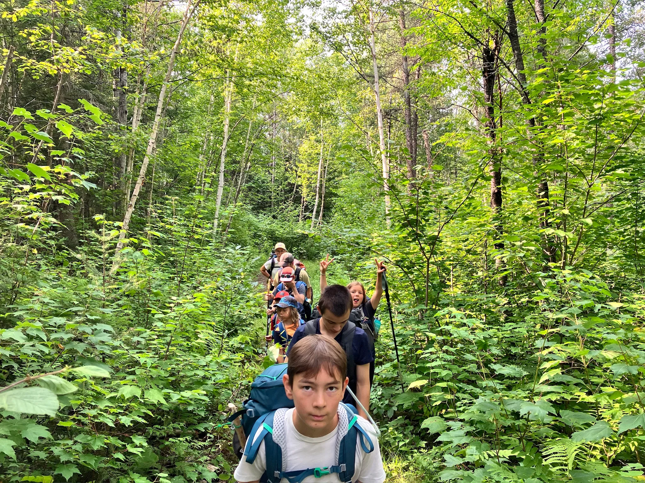dans le bois!